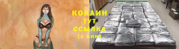 твердый Нефтегорск