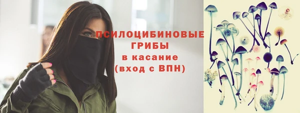 твердый Нефтегорск