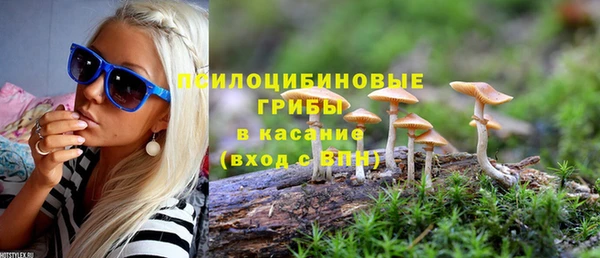 твердый Нефтегорск