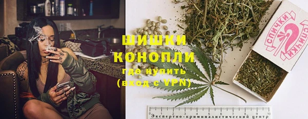 PSILOCYBIN Нея