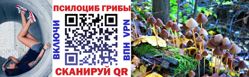 Купить где  Няндома  Галлюциногенные грибы Magic Shrooms 