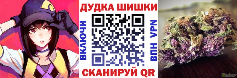 Купить закладки  Няндома  Конопля AK-47 